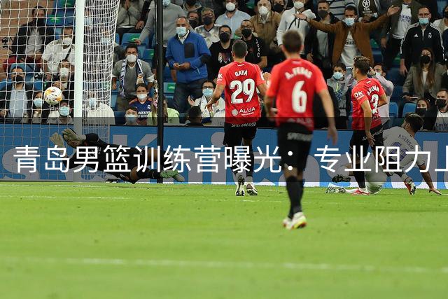 青岛男篮训练营曝光：专业阻力上篮课程展示球员特训细节